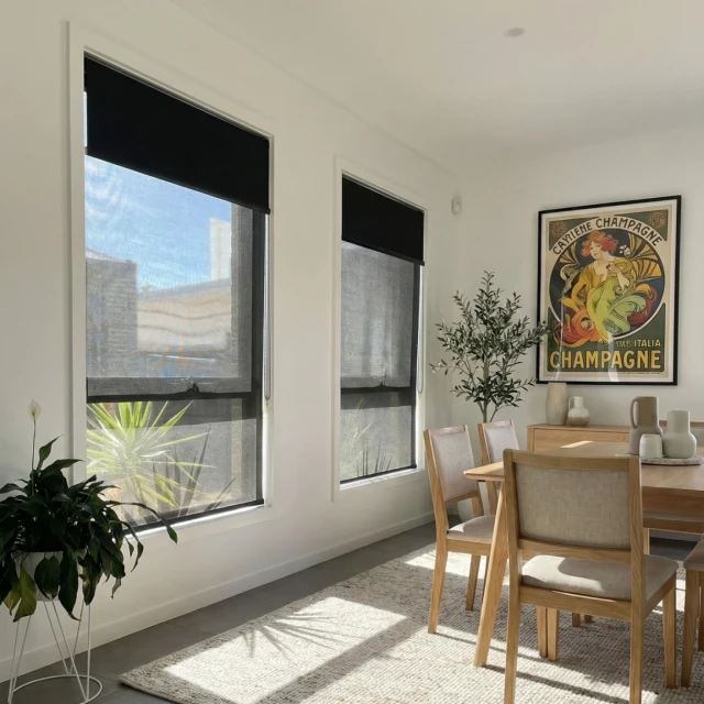 Double Roller Blinds