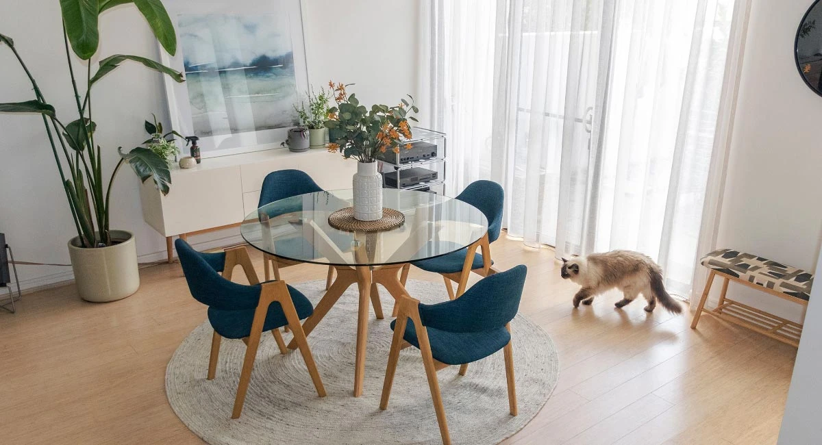 Custom Blinds Installed by iSeekBlinds – Real Customer Feedback