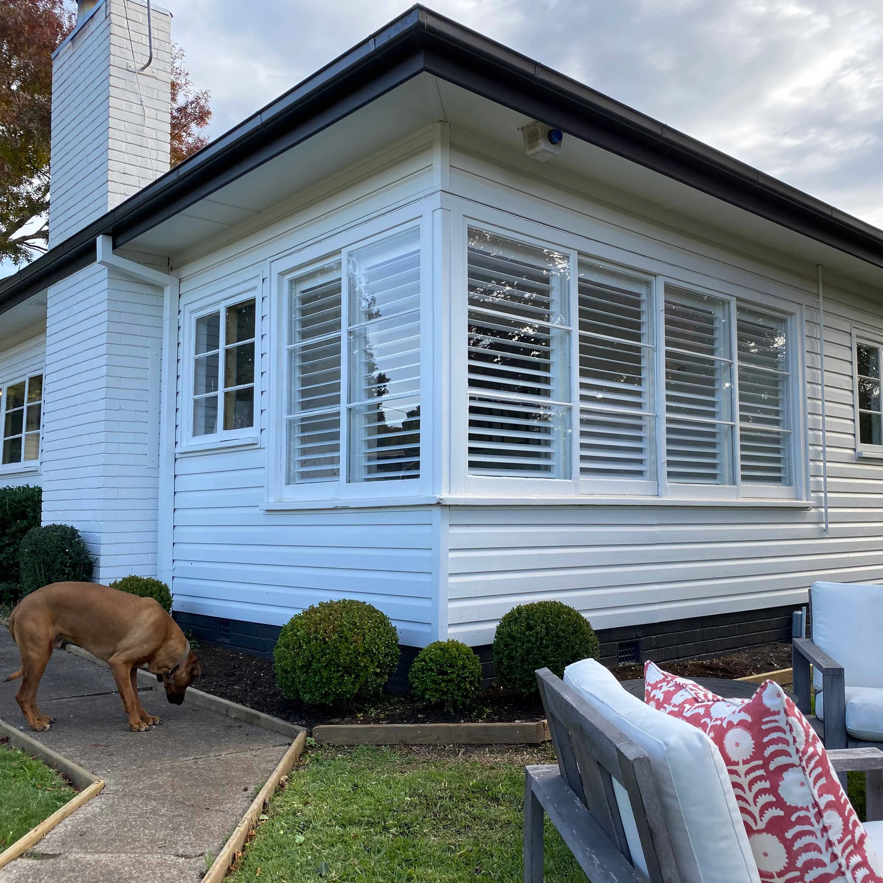 131112-shutter_exterior2