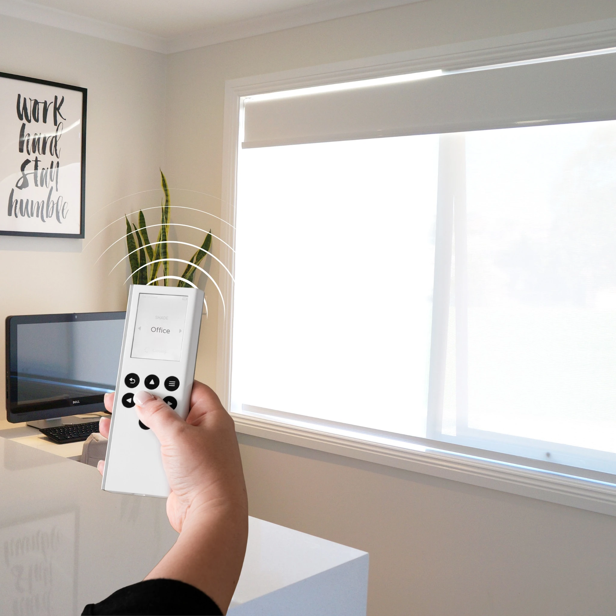 light_filter_motorisedblind