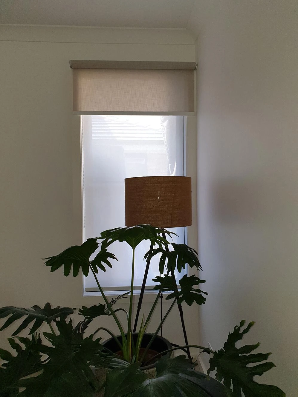 radiya-ali-_-act9 radiya-ali-_-act9