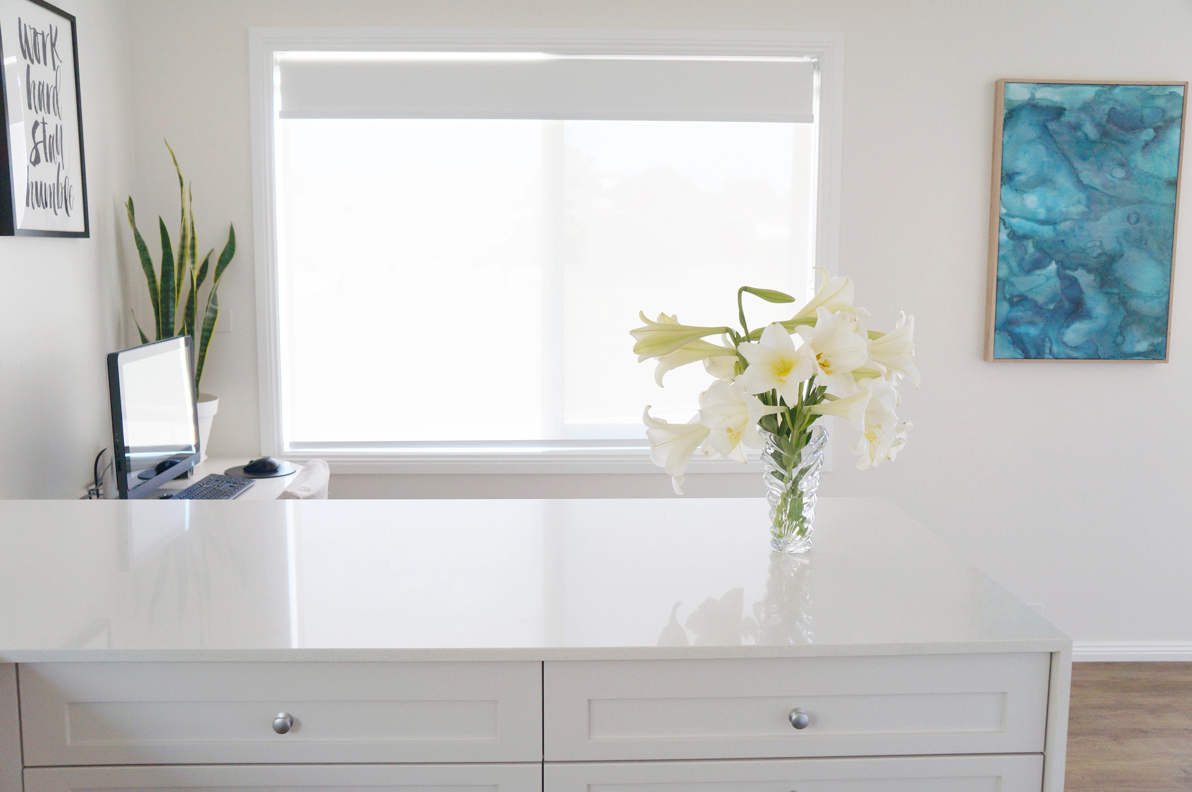 roller_lightfiltering__roller_lightfiltering__roller_lightfiltering__images__double-rb__amy_mondon_rollers_2 roller_lightfiltering__roller_lightfiltering__roller_lightfiltering__images__double-rb__amy_mondon_rollers_2