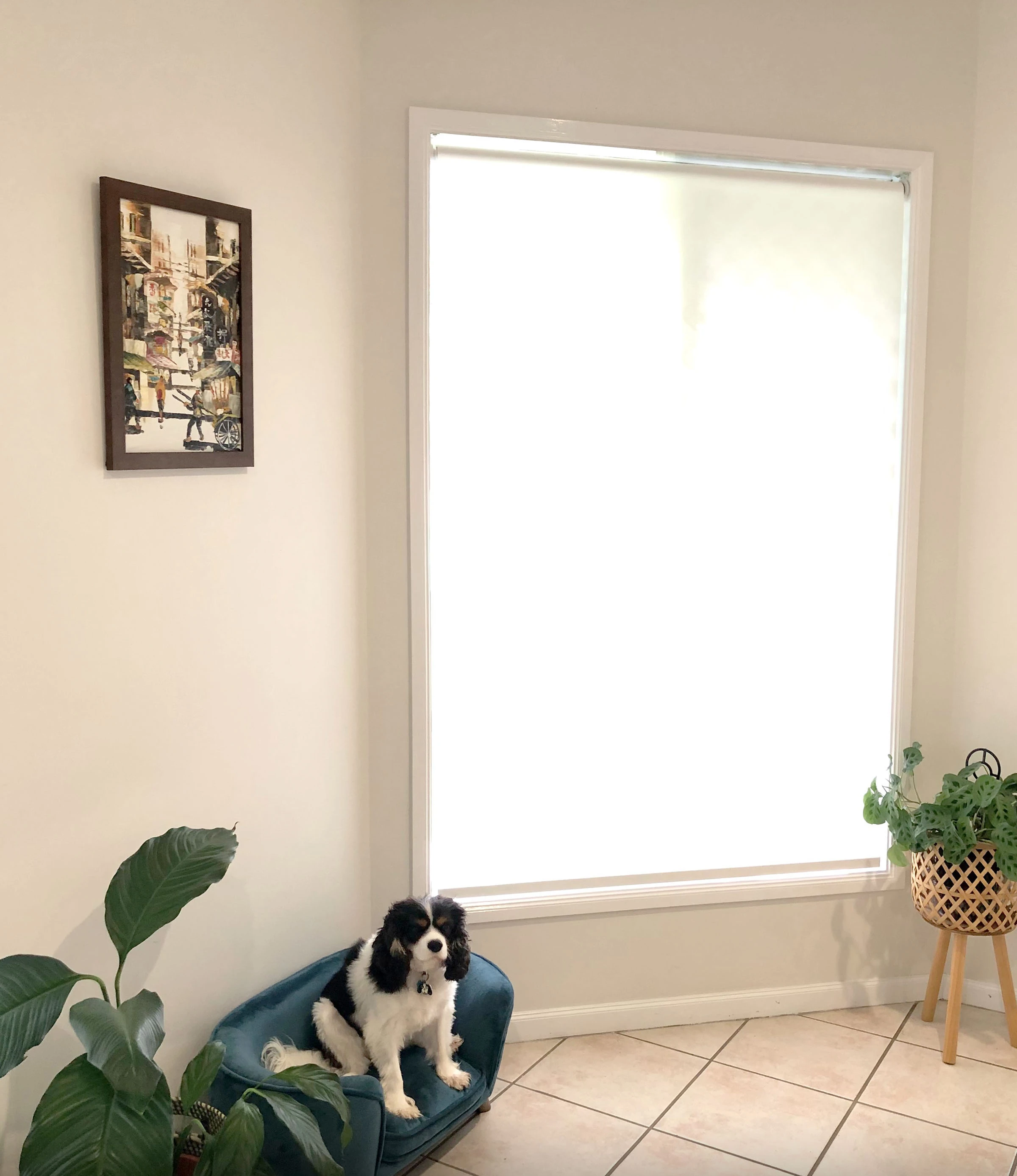 roller_lightfiltering__roller_lightfiltering__roller_lightfiltering__images__isb_gomage-website-files__2-images-icons__inspiration-gallery__roller-blinds__roller-blinds_palm-beach-melody-lf_1_2021