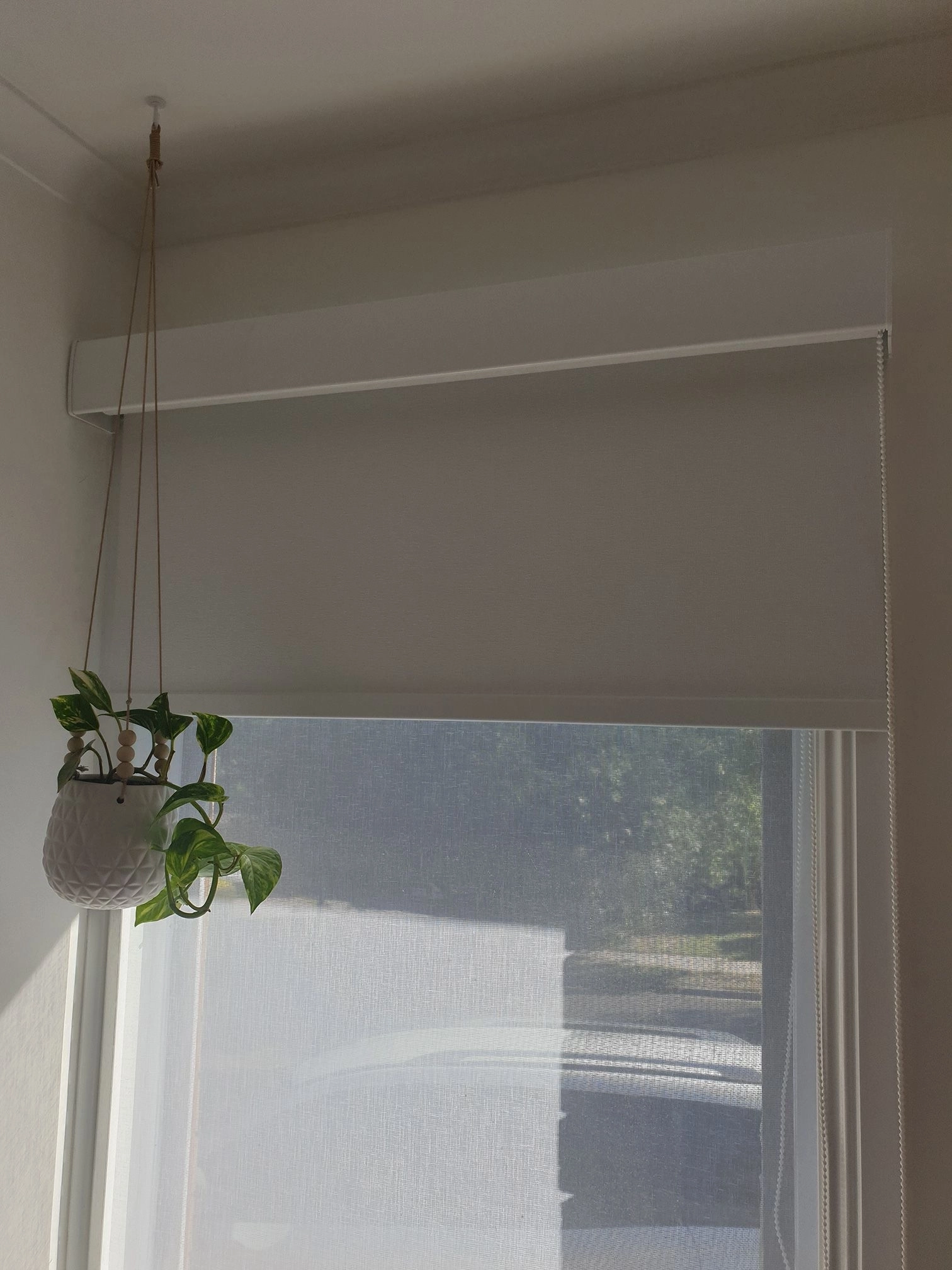 The Blockout Roller Blinds We Ordered Are Absolutely Beautiful