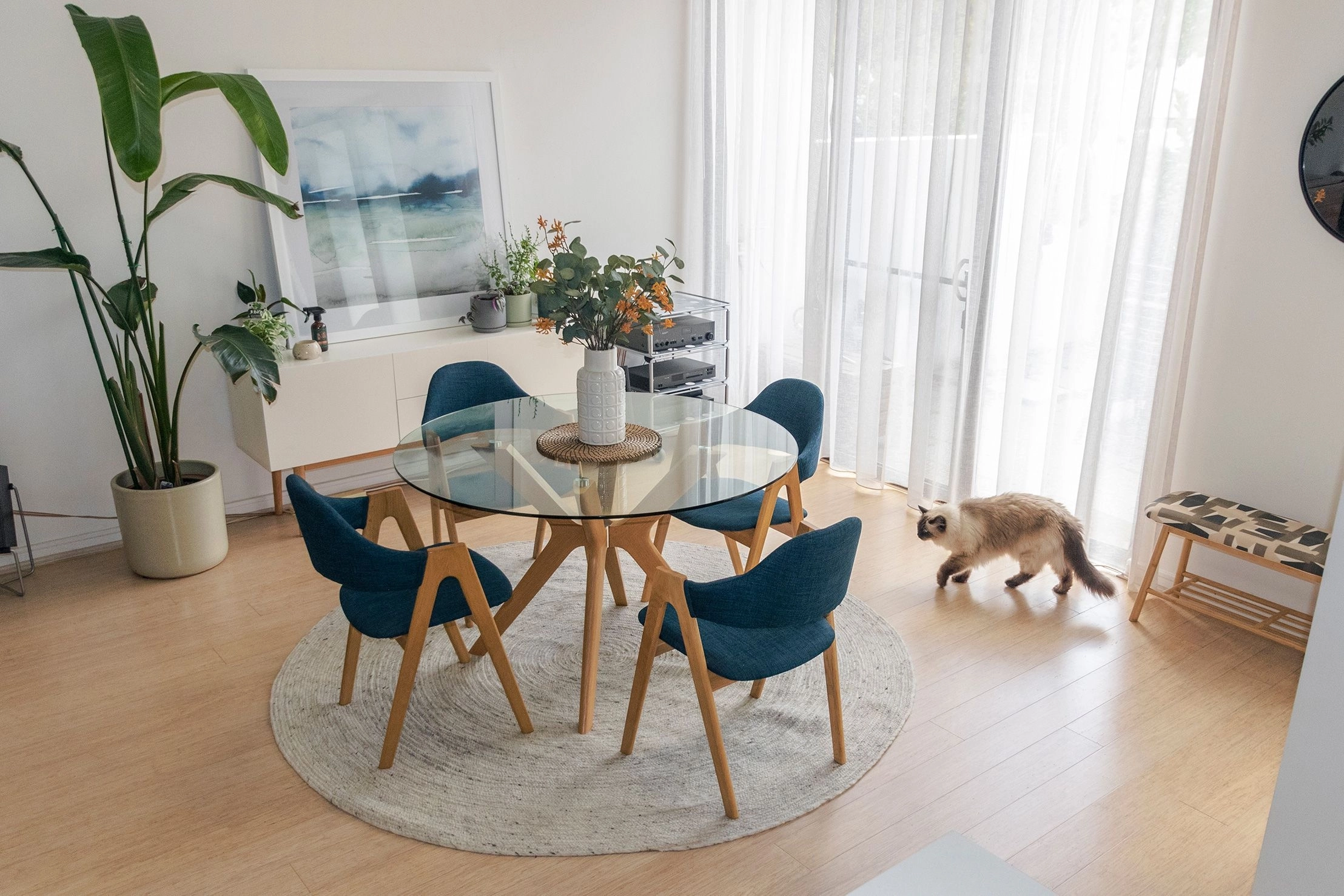 Our Blockout Roller Blinds Deliver Exactly the Privacy and Light Control We Needed