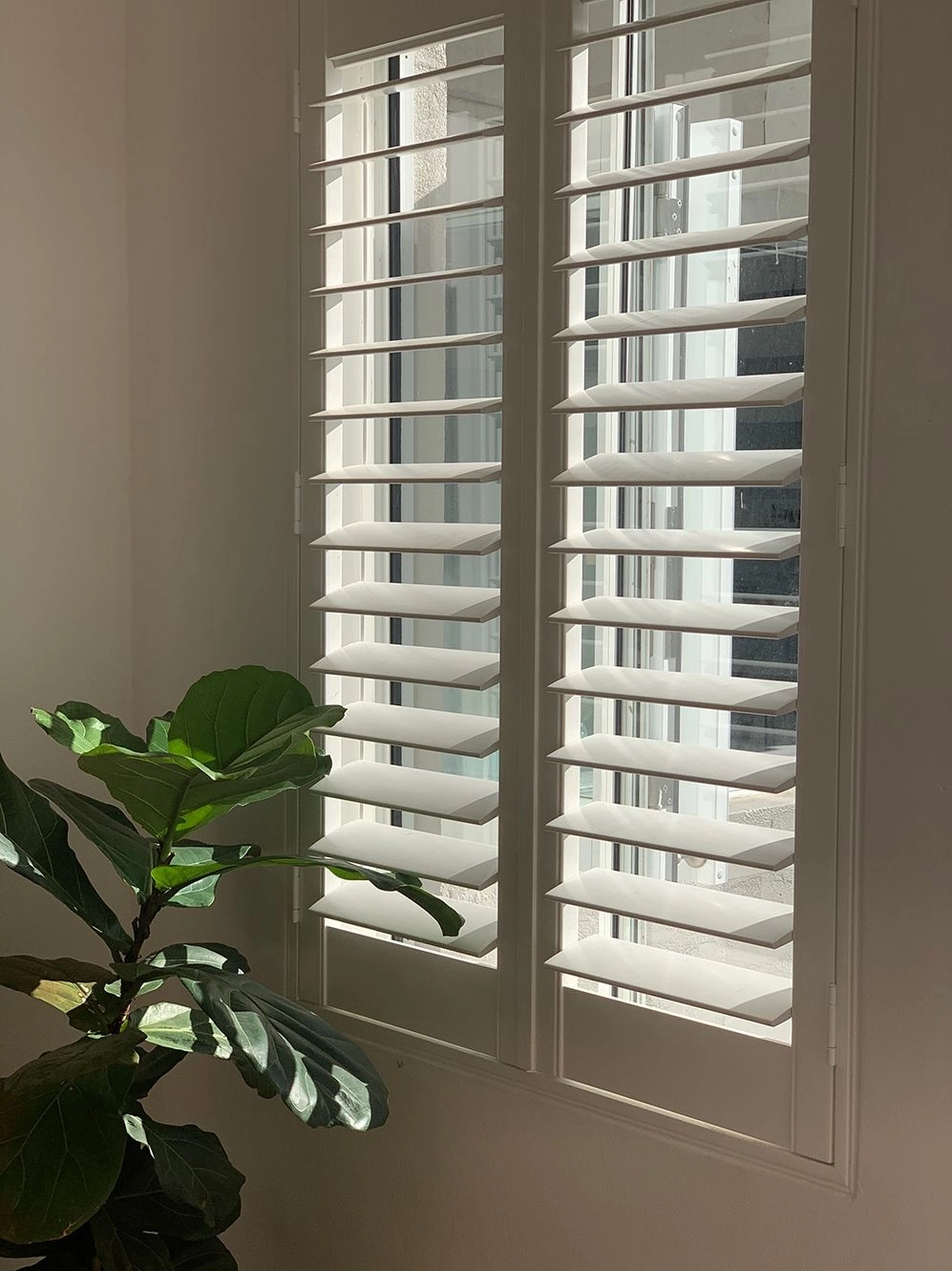 Our Plantation Shutters Are Stylish Practical and Incredibly Good Value
