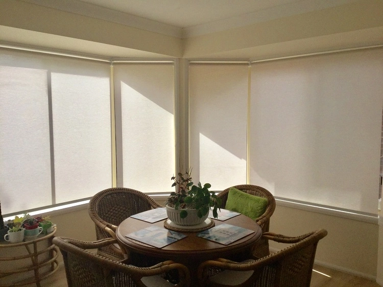 We Are Incredibly Happy with How Our Roller Blinds Turned Out