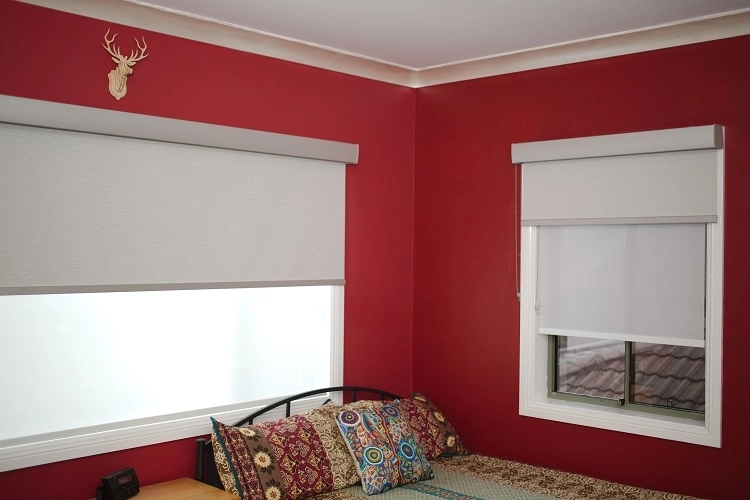 Our Roller Blinds Deliver Exactly the Privacy and Light Control We Needed