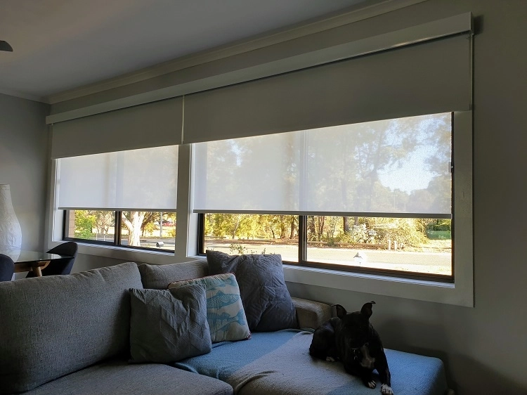 Our Motorised Roller Blinds Gave Us Everything We Were Looking For and More