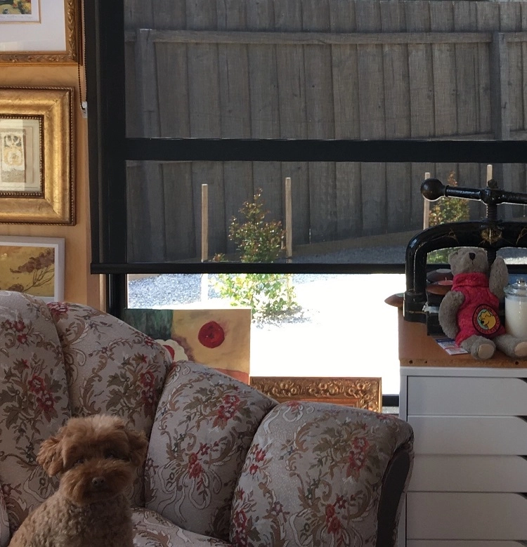 We Are Still Pinching Ourselves Over How Good Our Sunscreen Roller Blinds Look