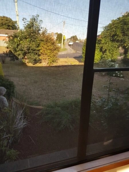 First Time Buying Sunscreen Roller Blinds Online and Absolutely Worth It