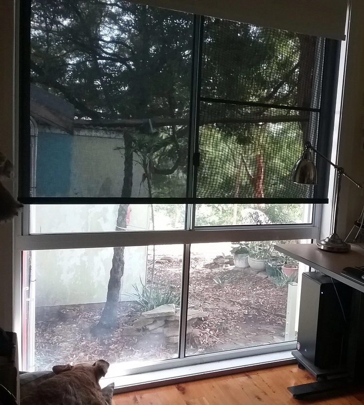 The Quality of These Motorised Roller Blinds Really Surprised Us