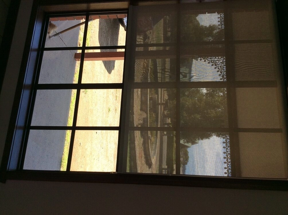 Our Sunscreen Roller Blinds Are the Finishing Touch Our Home Needed