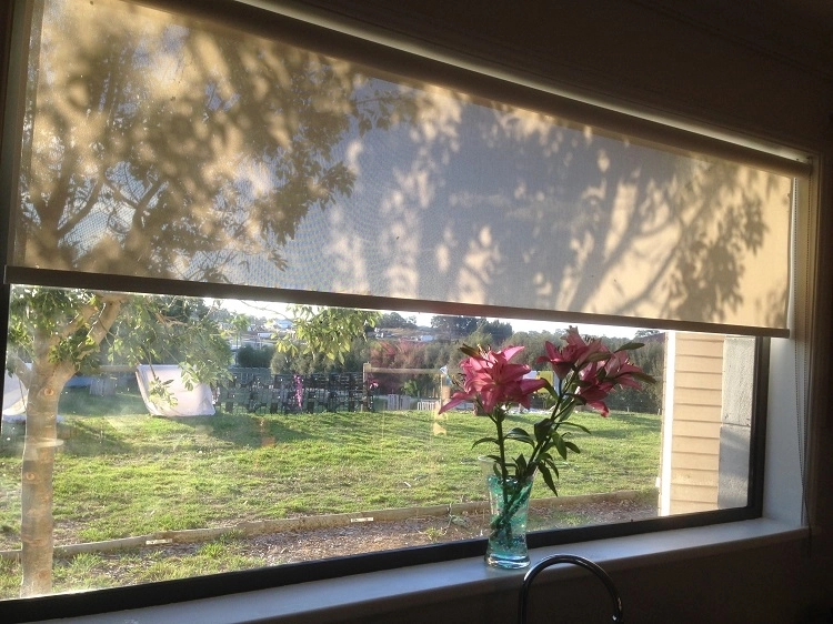 Our Sunscreen Roller Blinds Are Perfect for the Kids Room