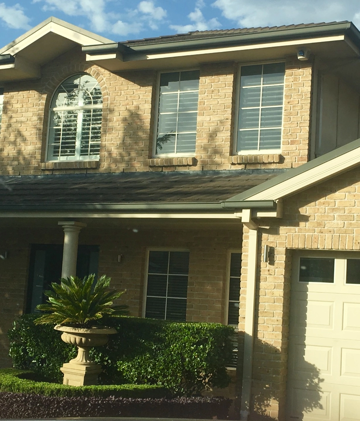 megal-morel megal-morel