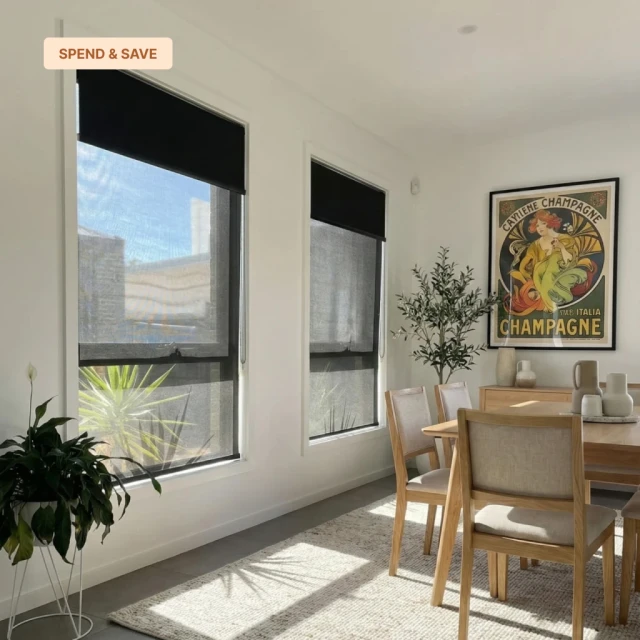 Double Roller Blinds