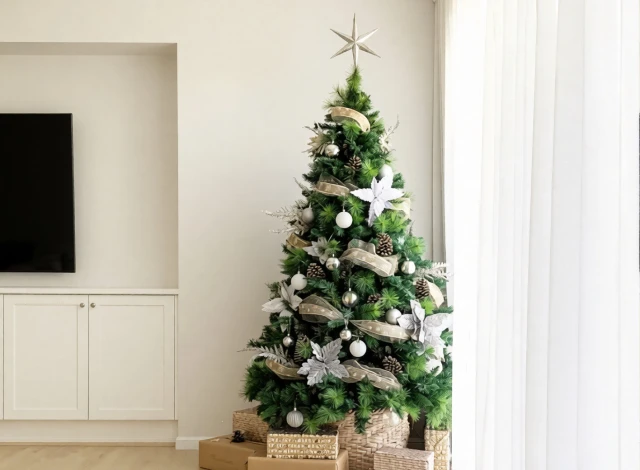 Want it up before Christmas?