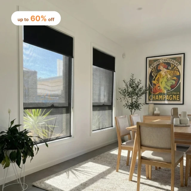 Double Roller Blinds