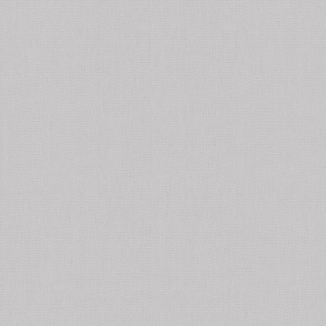 Splash Canvas Roller