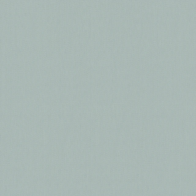 Splash Duck Egg Roller