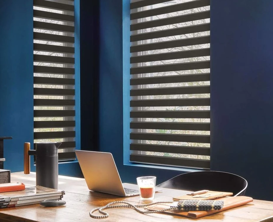 Vision / Day & Night Blinds