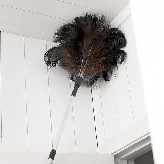 Ostrich Feather Dusters