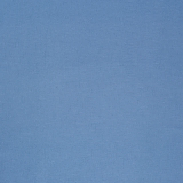 Astrid Cornflower Roman  