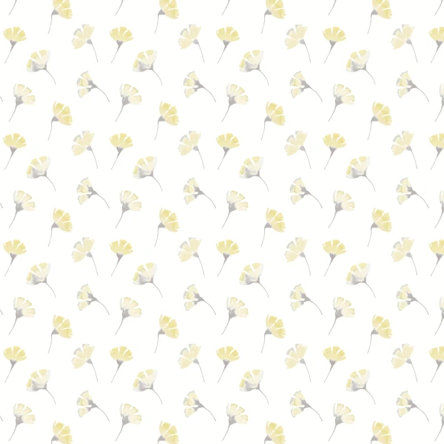 Akita BO Shine Roller