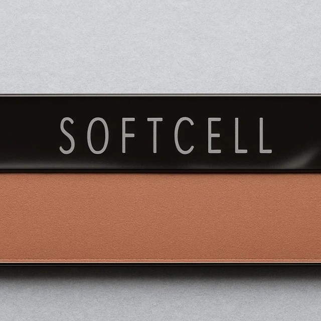 Lexington Translucent Terra Tru-Stick VS2