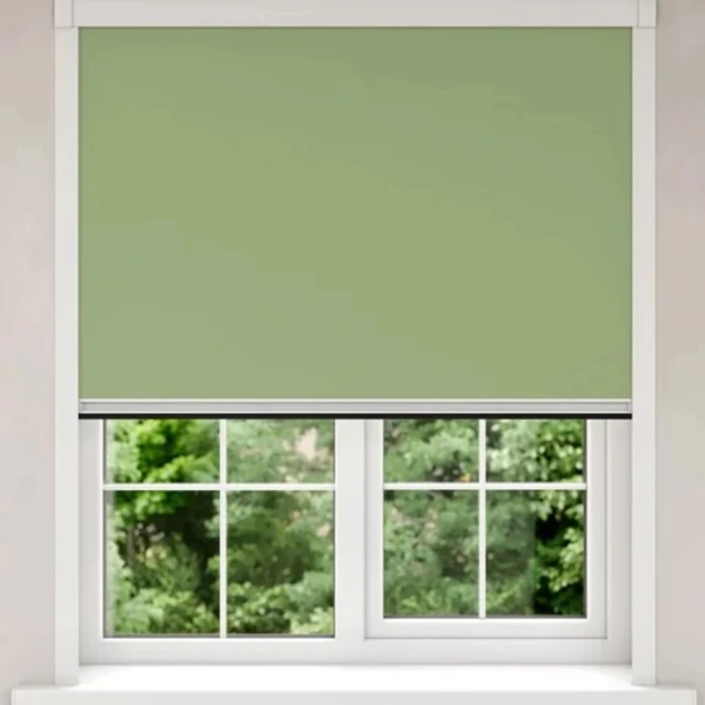 Light Sage BlocOut Plus 80