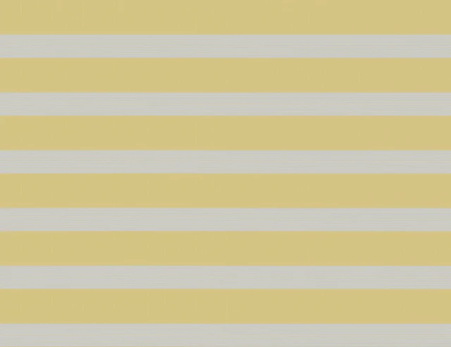 Spring Corn Day & Night