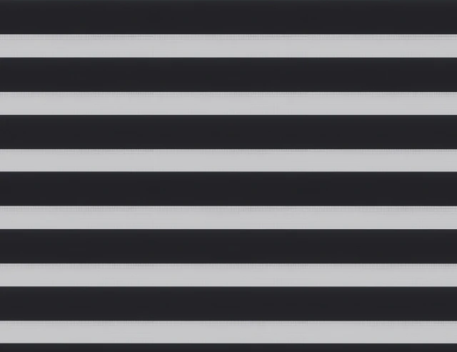 Spring Black Day &Night