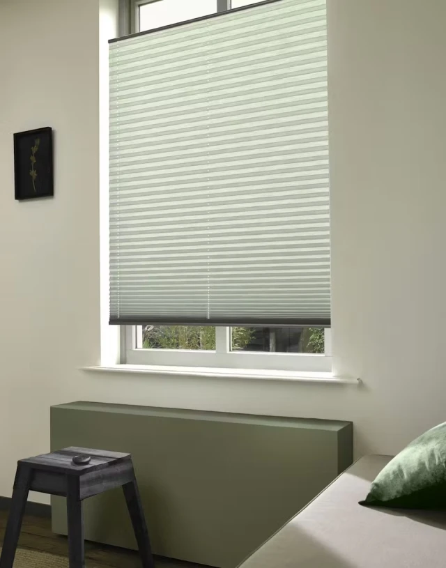 Luxaflex® TDBU Pleated