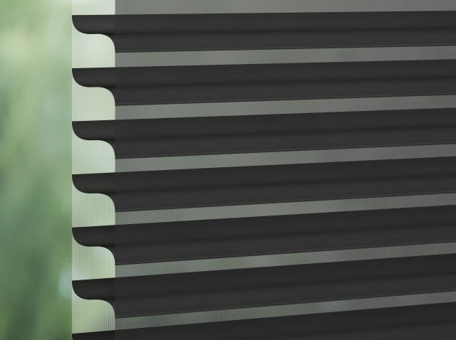 5502 Matisse Ebony Black Silhouette