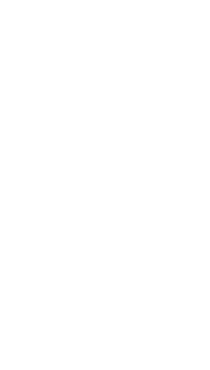 carbon-pricing-traditional