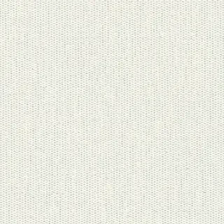Focus Dove fabric swatch, real photo