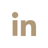 linkedin-icon