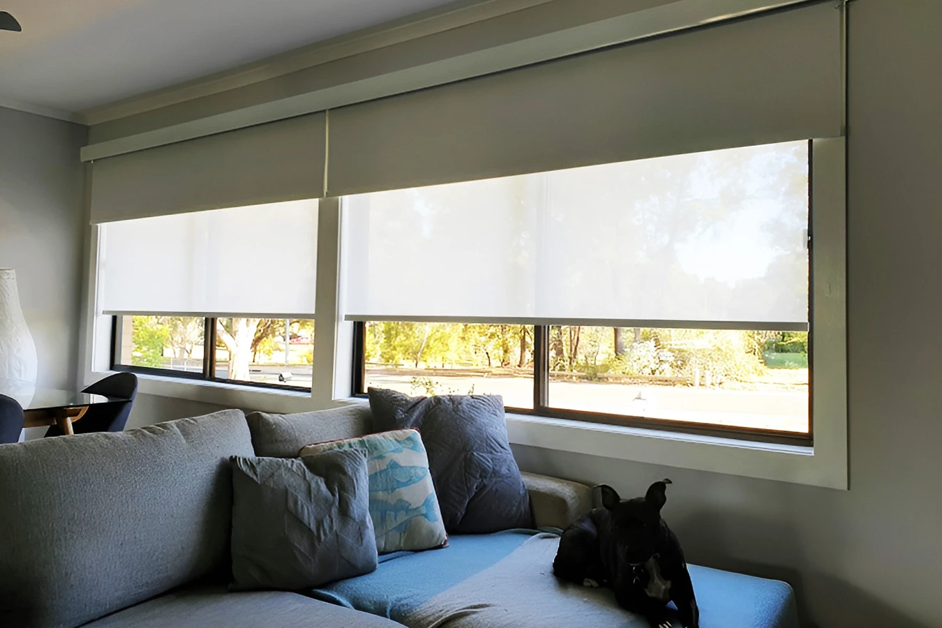 Top Mistakes to Avoid When Buying Double Roller Blinds