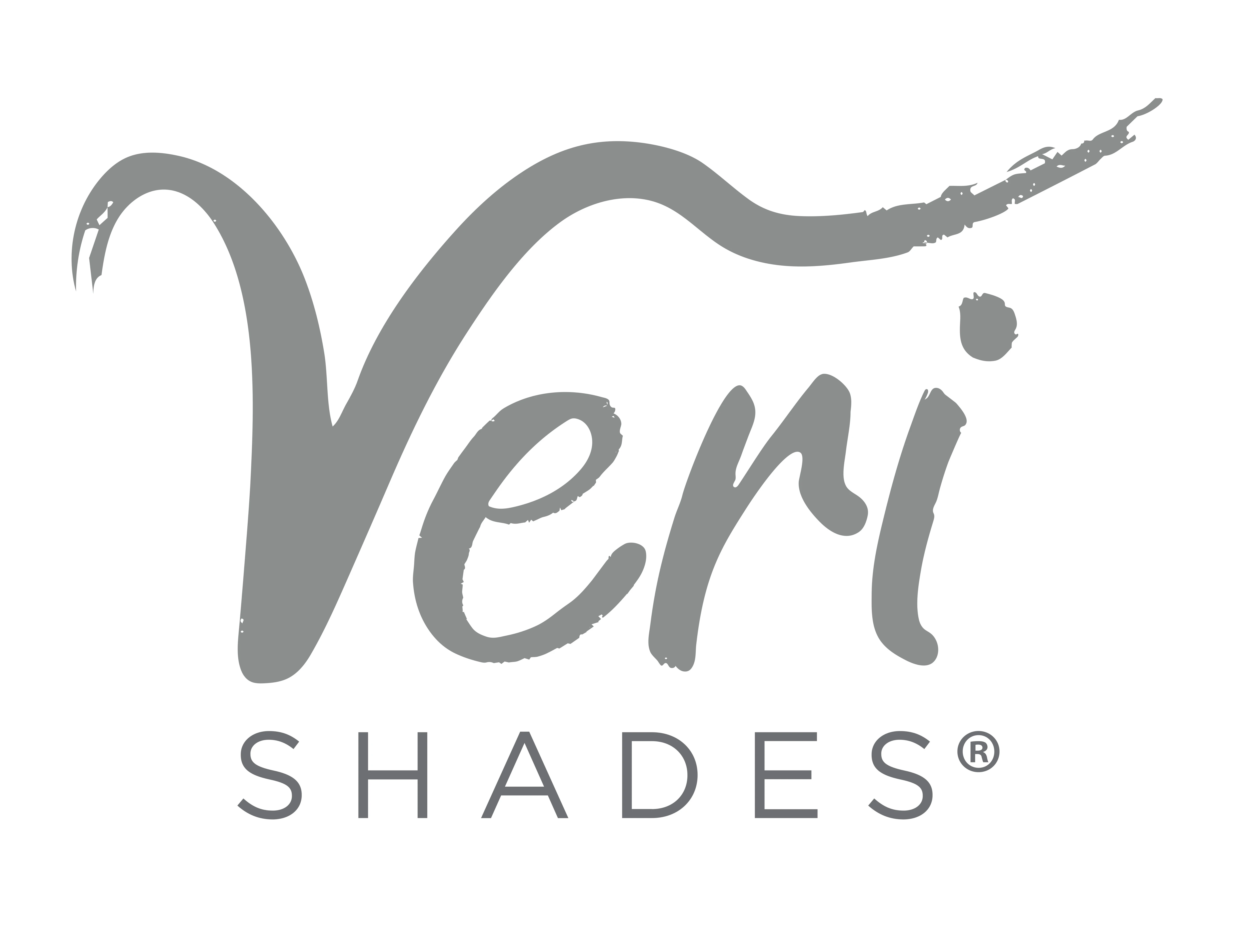 111704-our-brand-veri-shades-logo